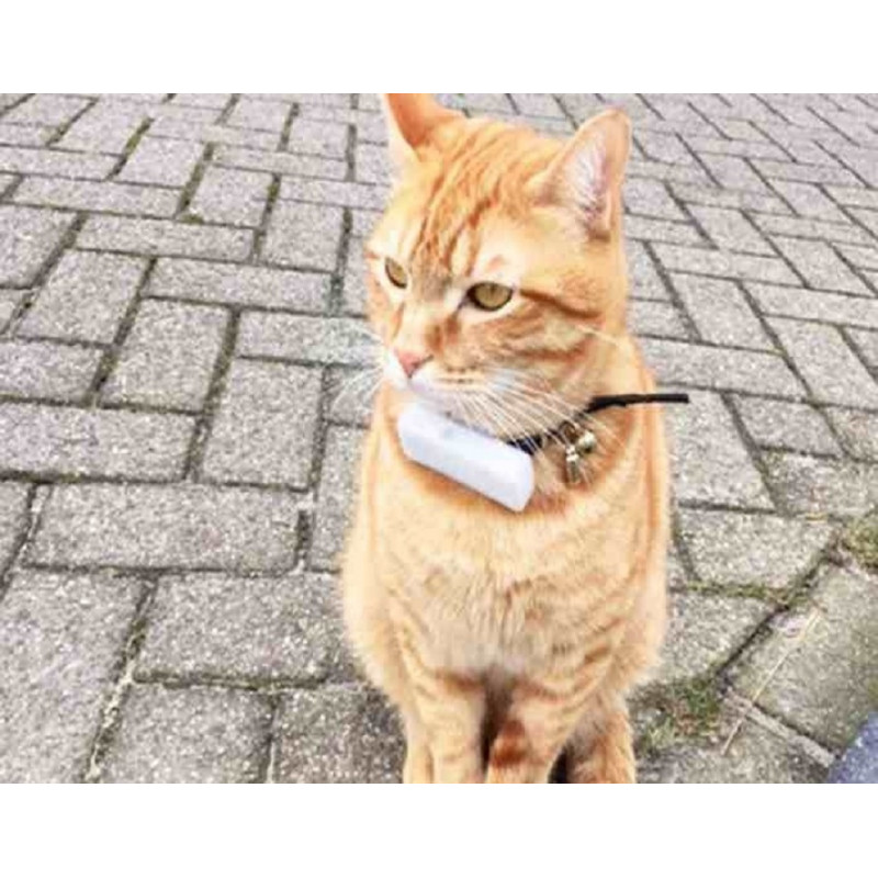 Traceurs et Balises GPS Pour Chats