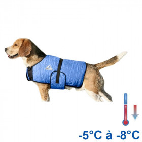 Manteau rafraîchissant chien bleu
