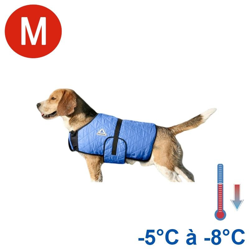 Manteau rafraîchissant chien bleu
