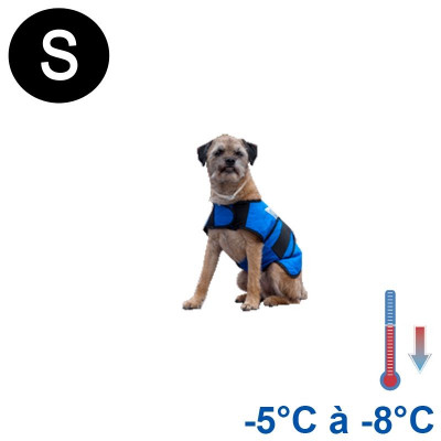 Manteau rafraîchissant chien bleu