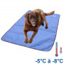 Tapis rafraîchissant chien bleu