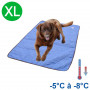 Tapis rafraîchissant chien bleu