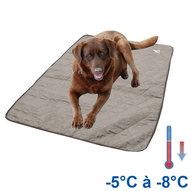 Tapis Rafraîchissant Pour Chien 70x100 Cm - Gel Auto-rafraîchissant Sans électricité - Durable, Lavable Machine - Pour Canapé, Voiture, Panier