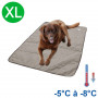 Tapis rafraîchissant chien gris