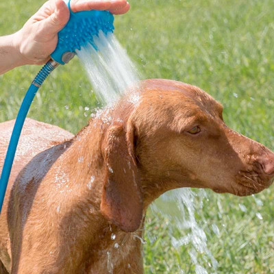 Tuyau de douche et brosse de massage pour laver le chien ou le chat