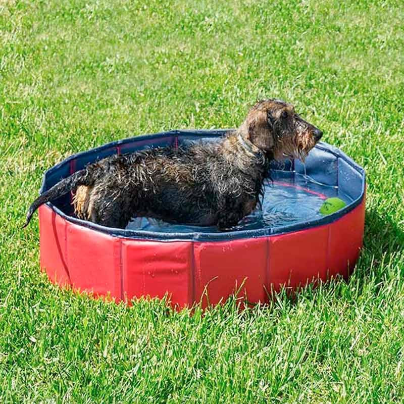 Piscine pliable pour Chiens 80x30 cm. Pour éviter les coups de chaud en été  - Le Poisson Qui Jardine