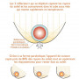 Mini cuiseur solaire GoSun Go