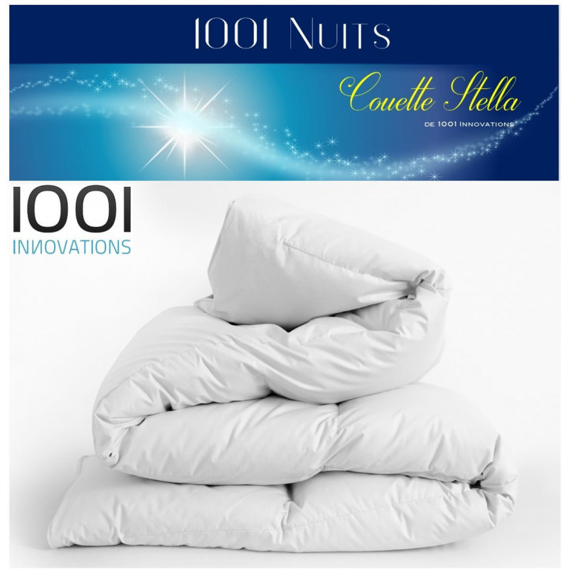 1001 Innovations couette utra chaude 200x200 cm Stella