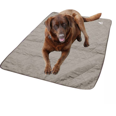 Tapis rafraîchissant chien gris