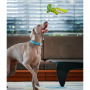 Jouets souples durables Crocodile Vert pour chiens