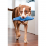 Jouets souples durables Requin Bleu pour chiens