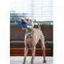 Jouets souples durables Requin Bleu pour chiens