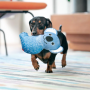 Jouets souples durables  Koala bleu pour chiens