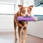 Jouets souples durables Platypus violet pour chiens