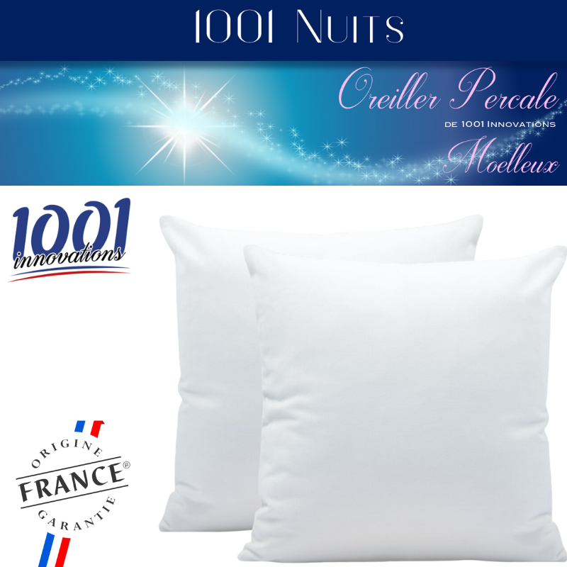 Lot De 2 Oreillers Carrés 65x65 Cm - Microfibre Et Percale Coton - Confort Moyen Parfait Pour Dos Et Côté