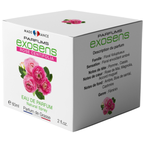 Parfums Exosens Rose Centifolia, 60 ml, Floral Capiteux – Ambré