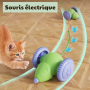 Jouet souris électrique pour chat