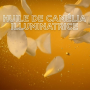 Masque Remède Nourrissant - Huile d'Argan & Camélia - Lot de 2