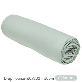 Drap Housse 160X200+30 2 personnes Coton 57 fils Vert Céladon