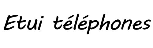 Etui téléphone