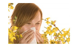 Spécial allergies : les purificateurs d’air REVITALISOR et humidificateurs pour lutter contre les allergies respiratoires, pollens, rhumes des foins, asthmes…