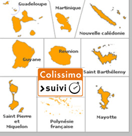 La livraison Colissimo Martinique, Guadeloupe, Réunion chez 1001innovations.com
