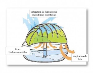 purificateur à l'eucalyptus