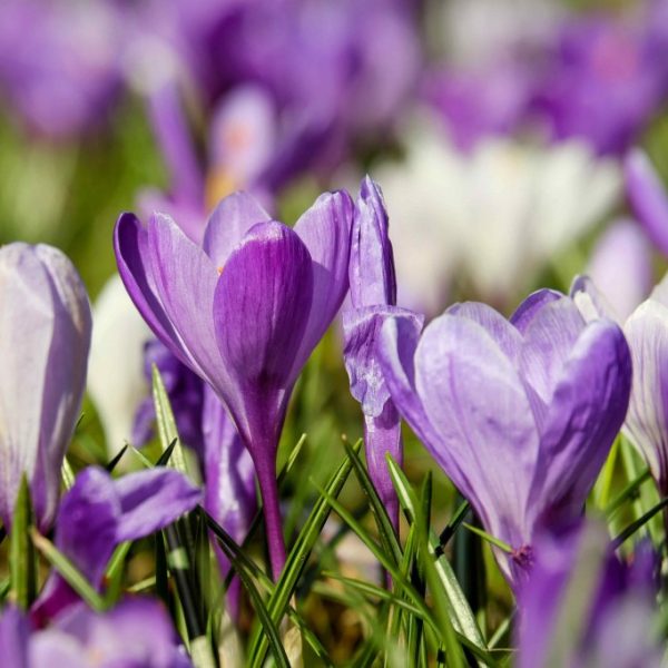 Les vertus du grand ménage de printemps