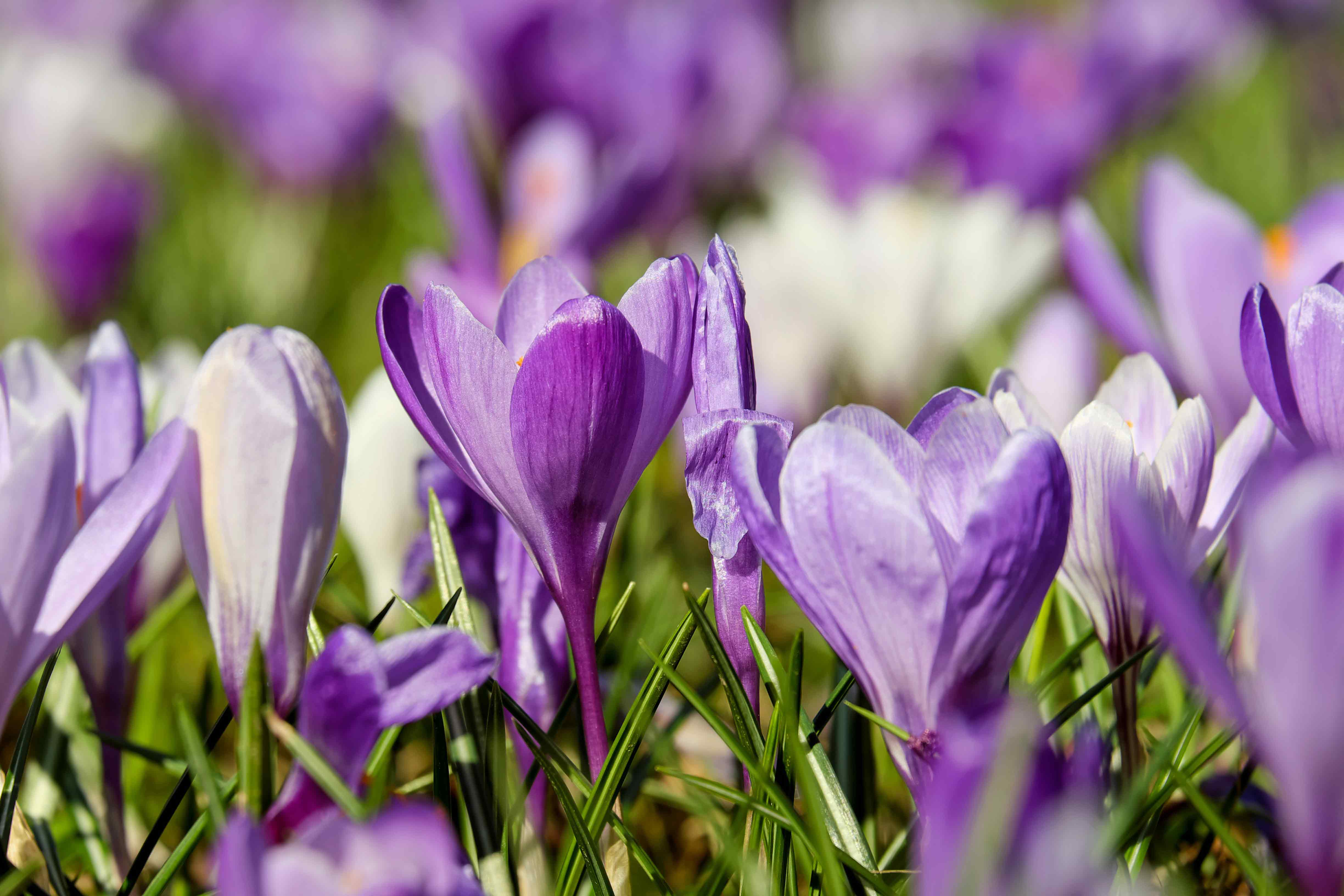 Les vertus du grand ménage de printemps