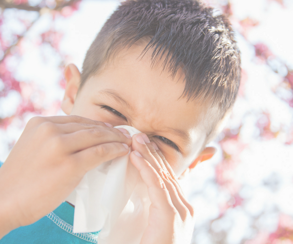 Allergie respiratoire : quelques conseils pour éviter les…