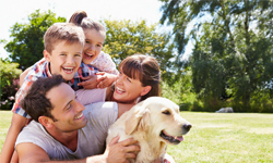 Découvrez notre gamme de produits rafraîchissants pour toute la famille…même le chien !