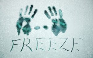 Baisse des températures : restez au chaud où…