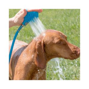 Brosse tuyau pour chien