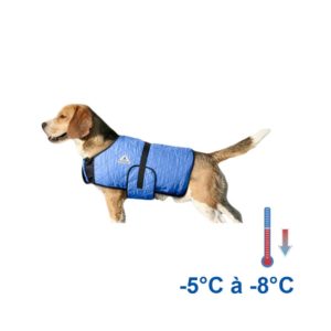 Manteau rafraîchissant chien bleu