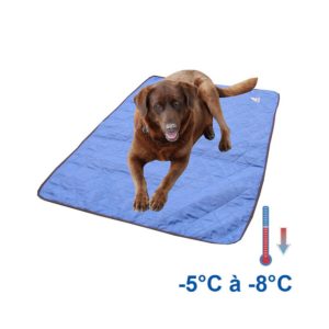 Tapis rafraîchissant chien bleu